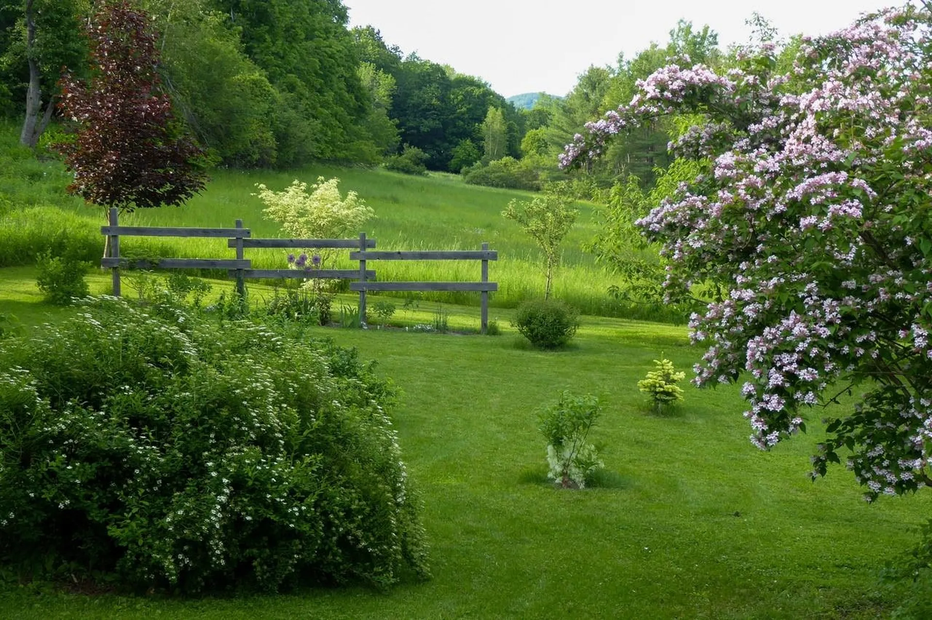 317 Hopson Road Norwich VT 05055