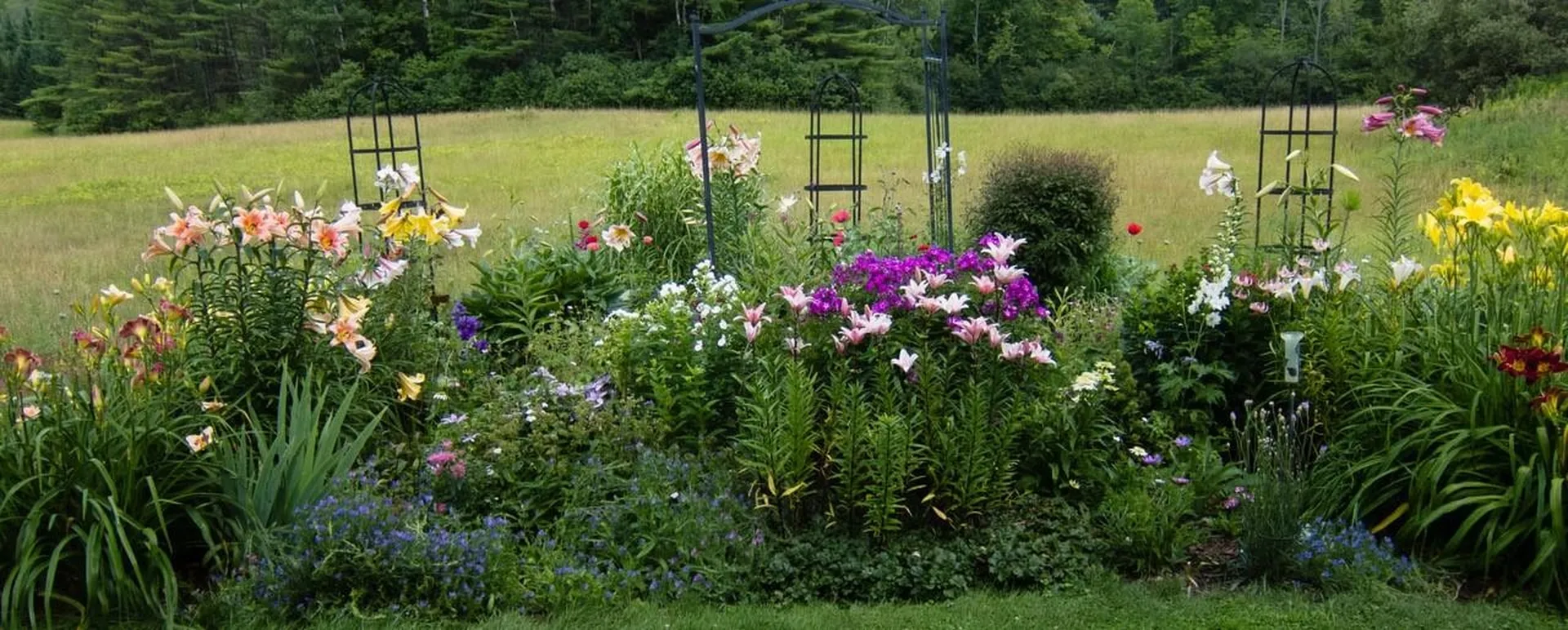 317 Hopson Road Norwich VT 05055