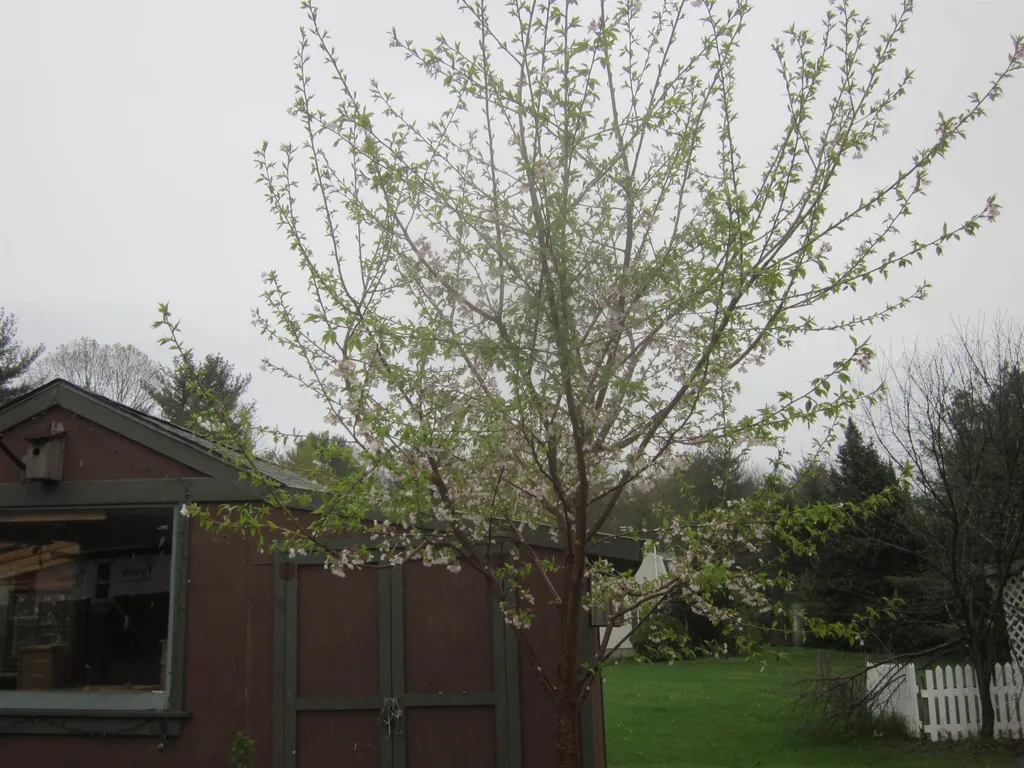 30 High Street Stratham NH 03885