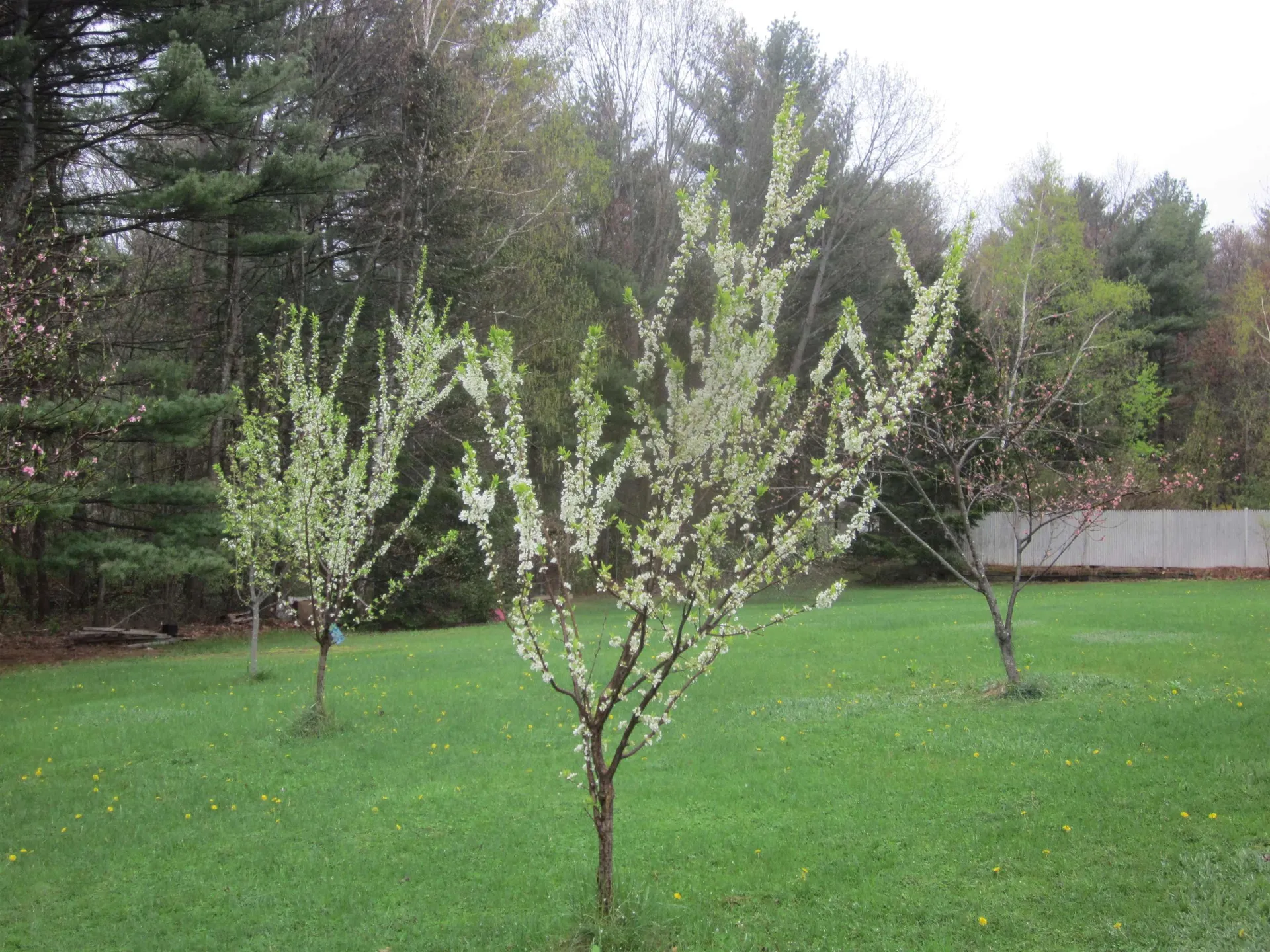30 High Street Stratham NH 03885