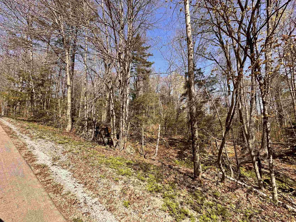 47 & 48 Okemo Way Mount Holly VT 05758