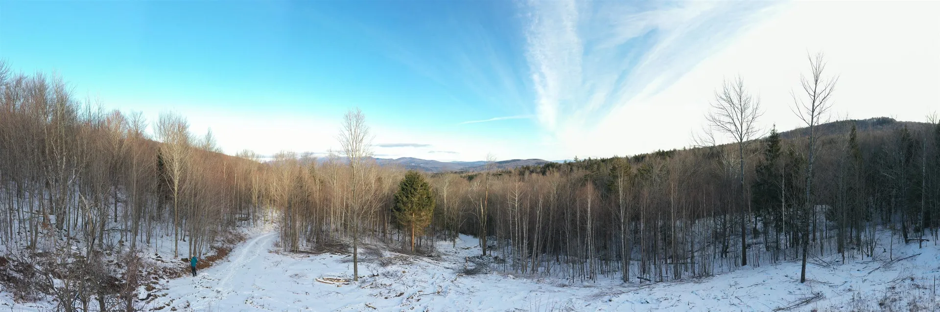 0 Hayes Road Duxbury VT 05676
