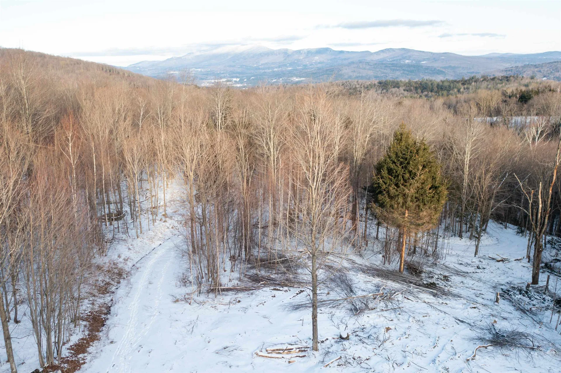 0 Hayes Road Duxbury VT 05676