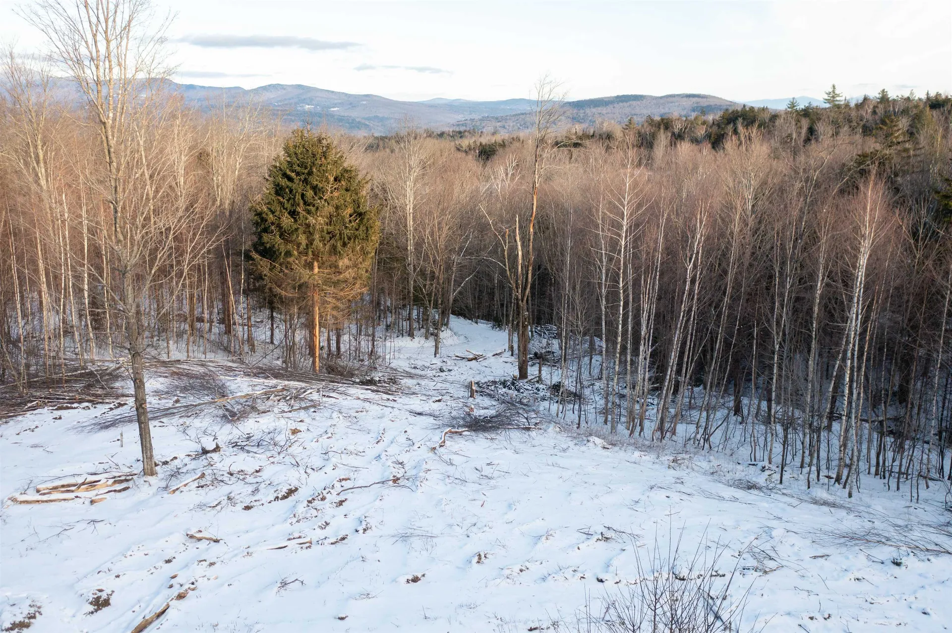 0 Hayes Road Duxbury VT 05676