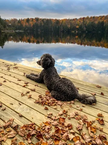 220 Lake Raponda Road Wilmington VT 05363