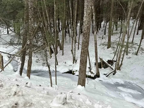 0 Weeden Hill Road West Windsor VT 05037