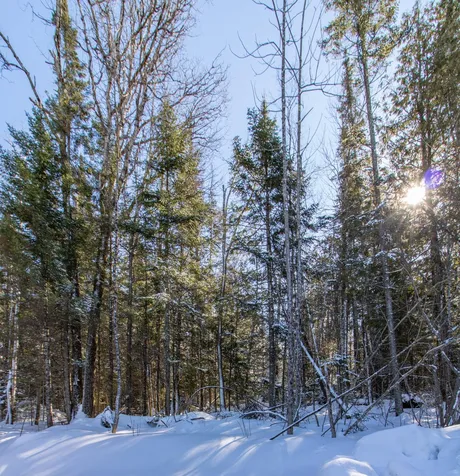 1213 Shadow Lake Road Glover VT 05839