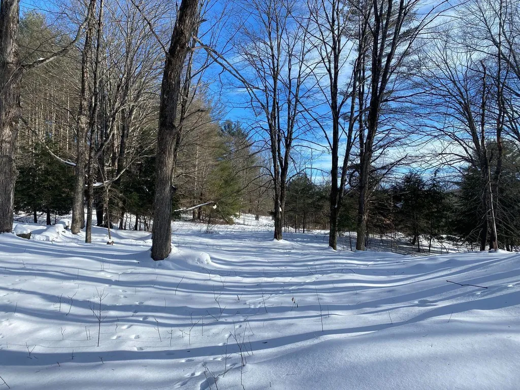 21 Gilley Road Tunbridge VT 05077
