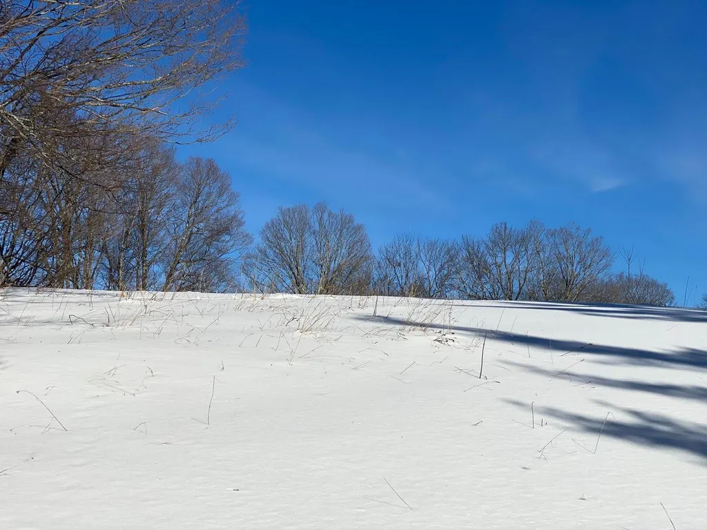 21 Gilley Road Tunbridge VT 05077