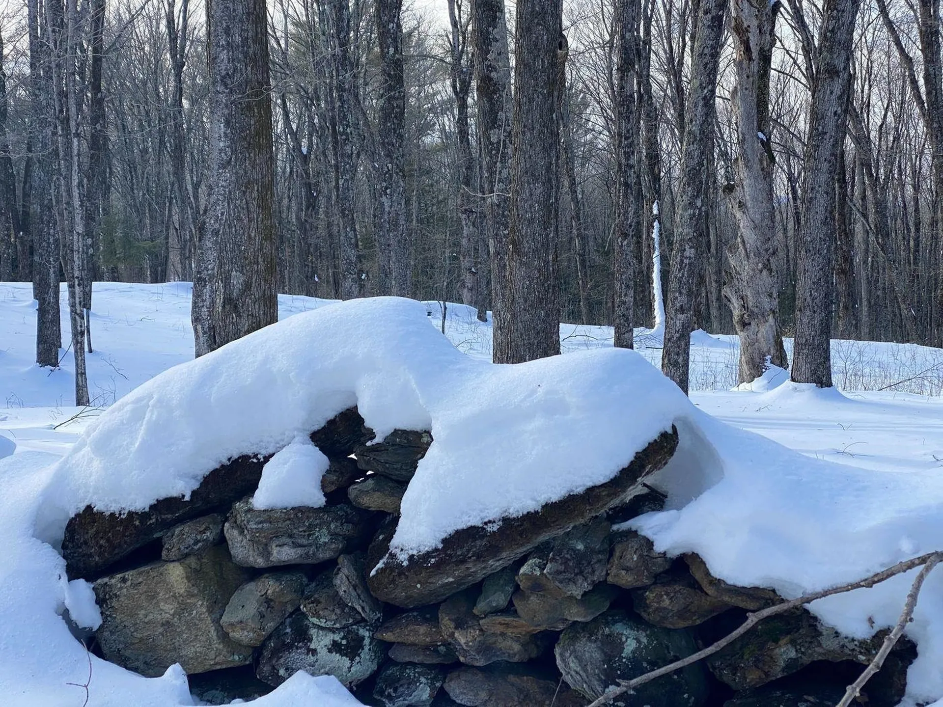 21 Gilley Road Tunbridge VT 05077
