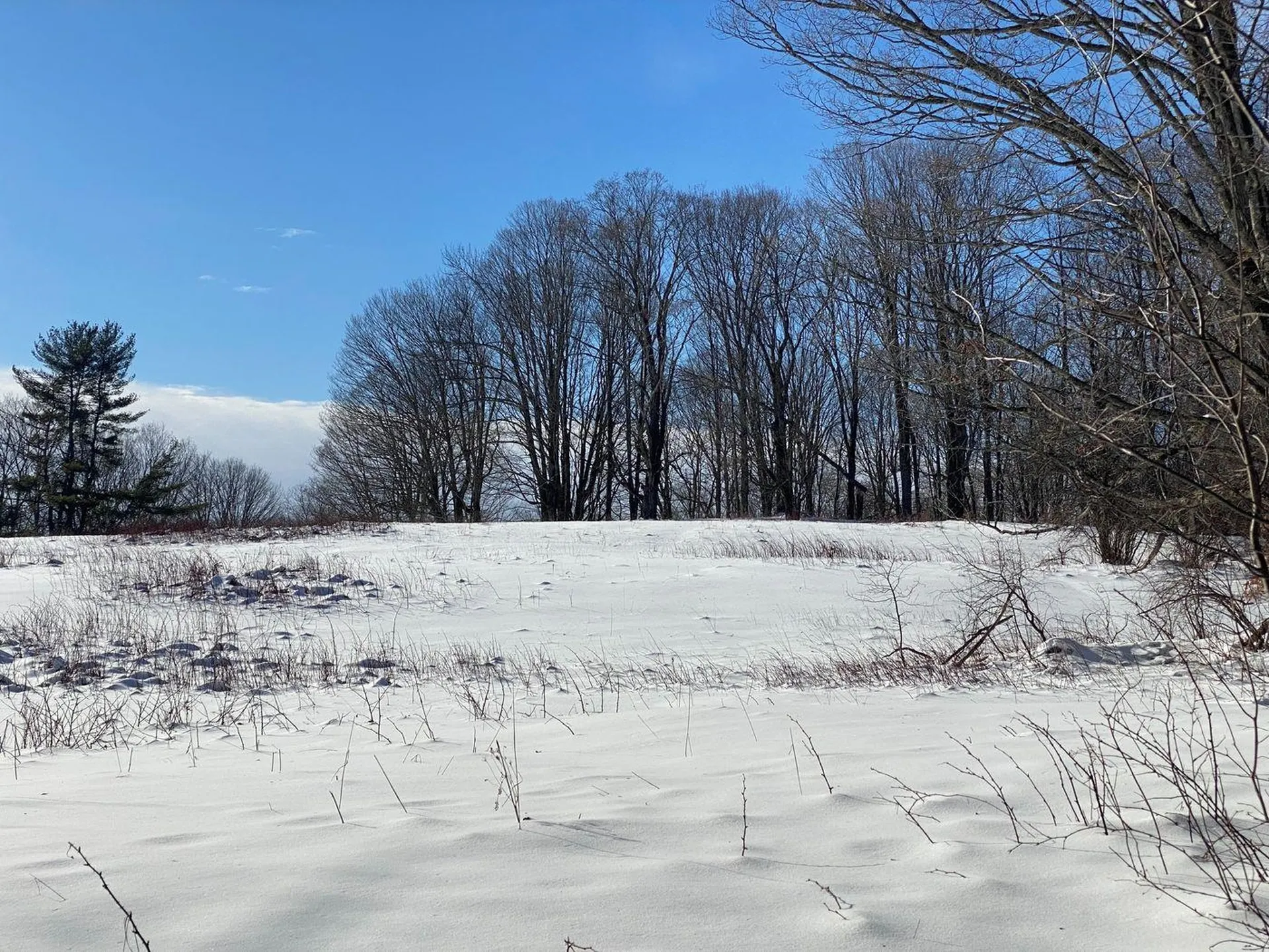 21 Gilley Road Tunbridge VT 05077