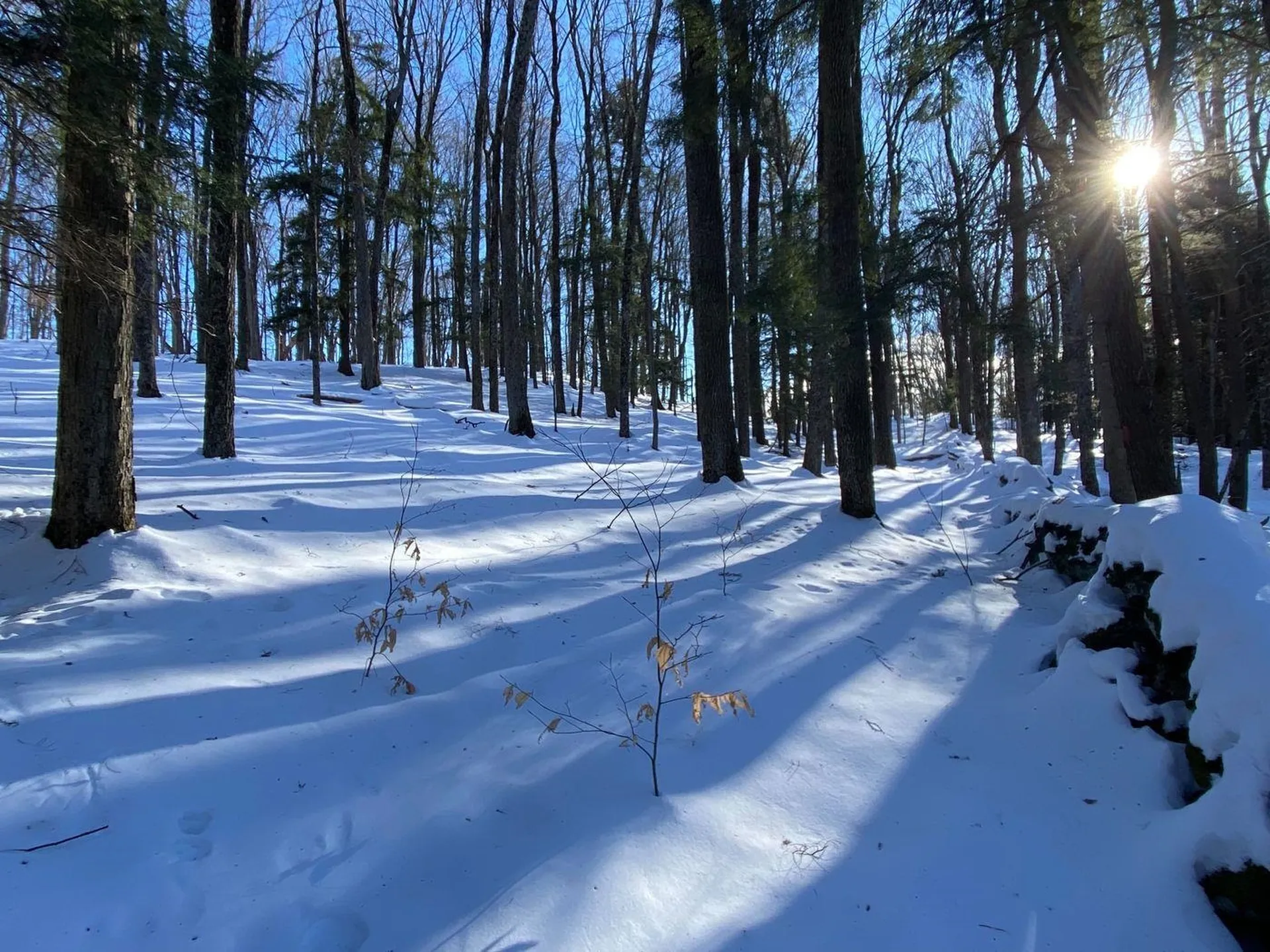 21 Gilley Road Tunbridge VT 05077