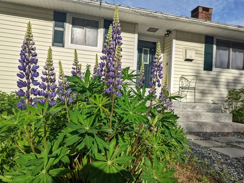 123 Mountain Road Concord NH 03301