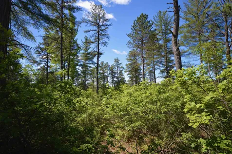41 Brookstone Lane Madison NH 03849
