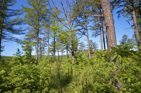 41 Brookstone Lane Madison NH 03849