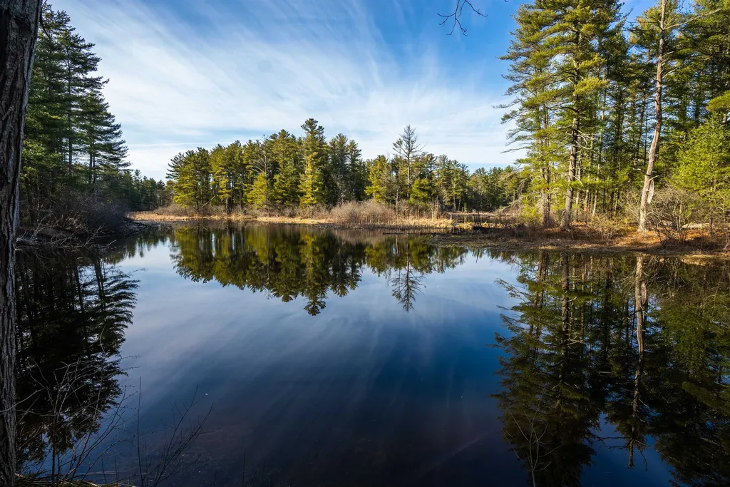 9 Toppan Lane Hampton Falls NH 03844