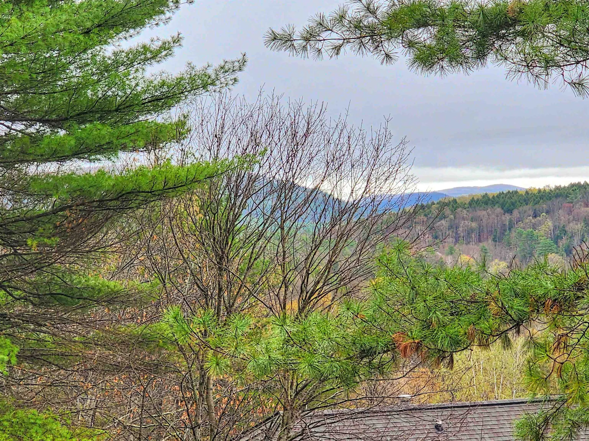 291 Sugar Hill Lane Hartford VT 05059