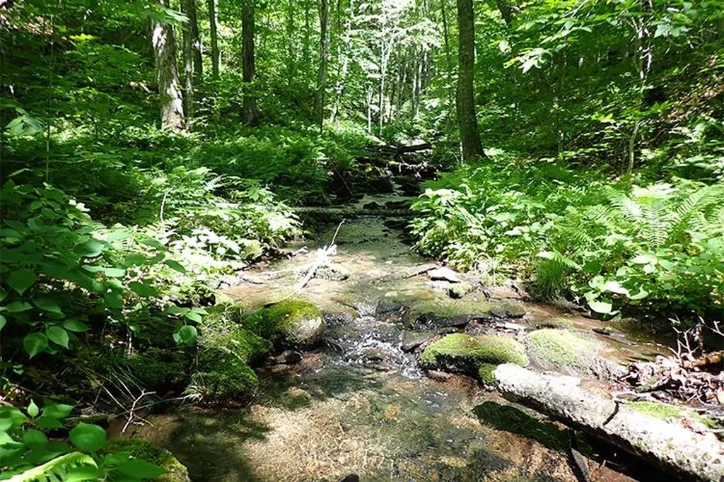 00 Bear Notch Road West Fairlee VT 05083