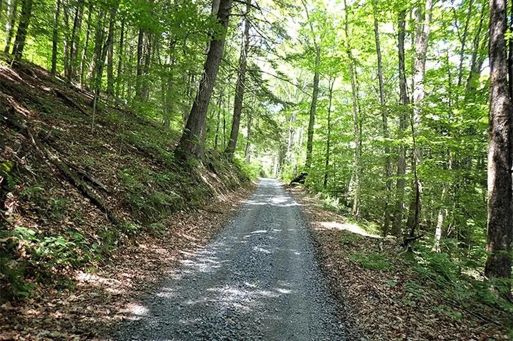 00 Bear Notch Road West Fairlee VT 05083