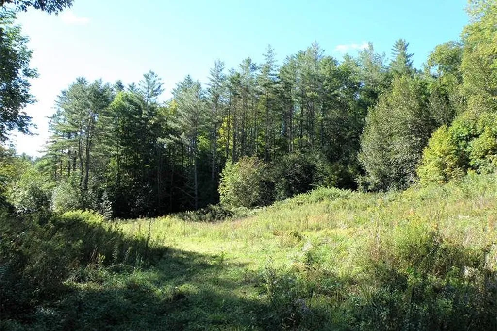00 Bear Notch Road West Fairlee VT 05083