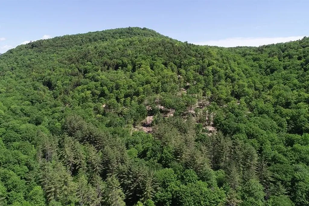 00 Bear Notch Road West Fairlee VT 05083