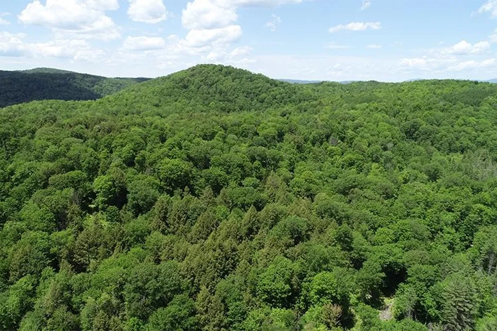 00 Bear Notch Road West Fairlee VT 05083