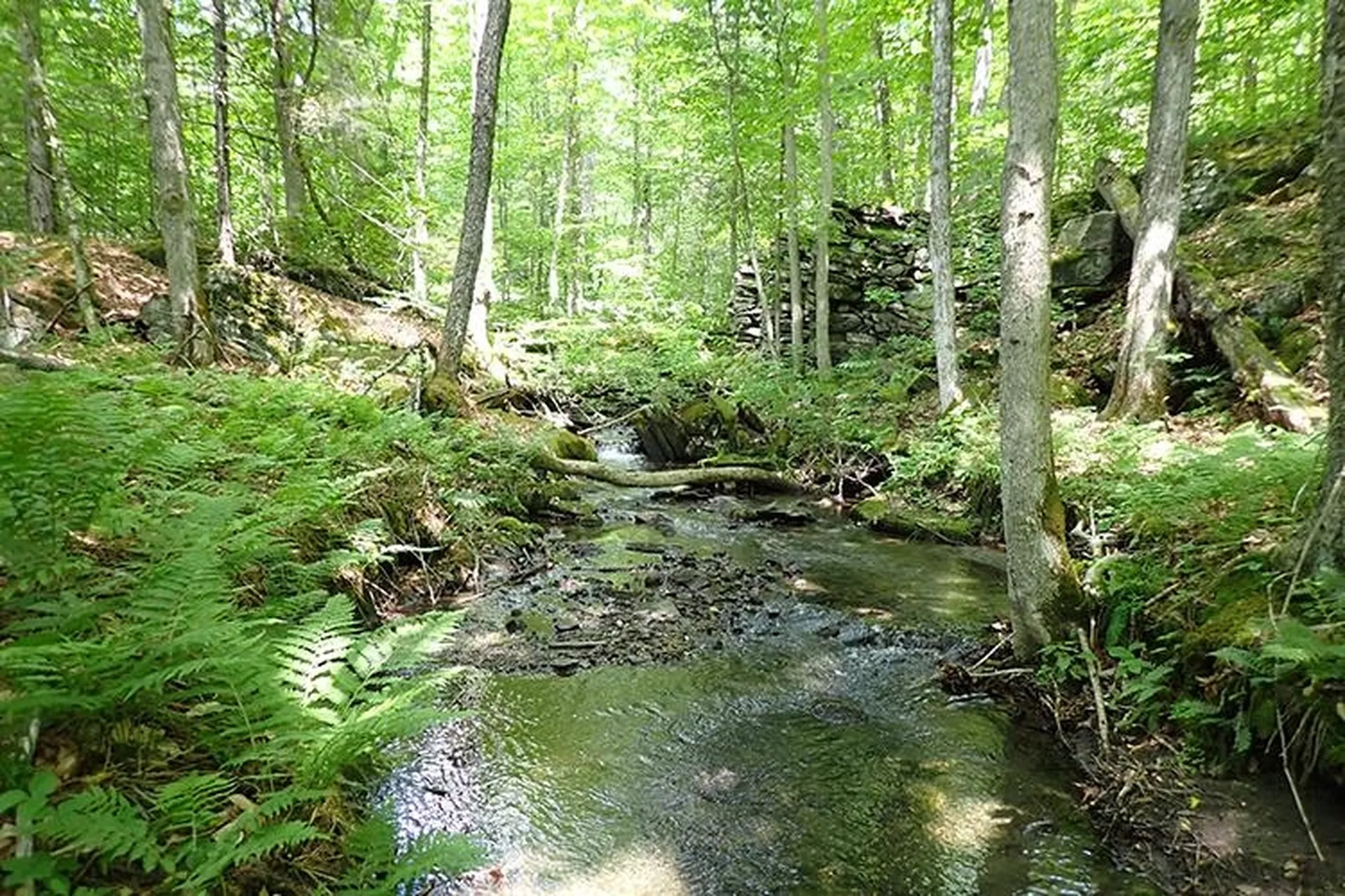 00 Bear Notch Road West Fairlee VT 05083