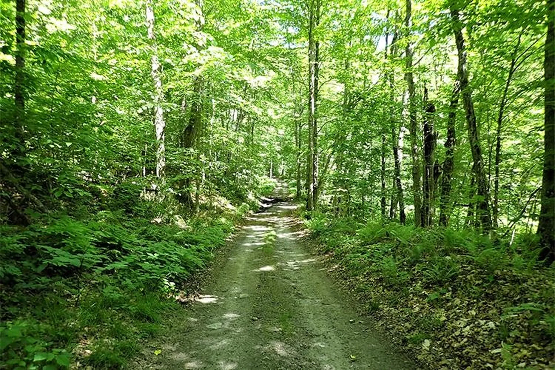 00 Bear Notch Road West Fairlee VT 05083