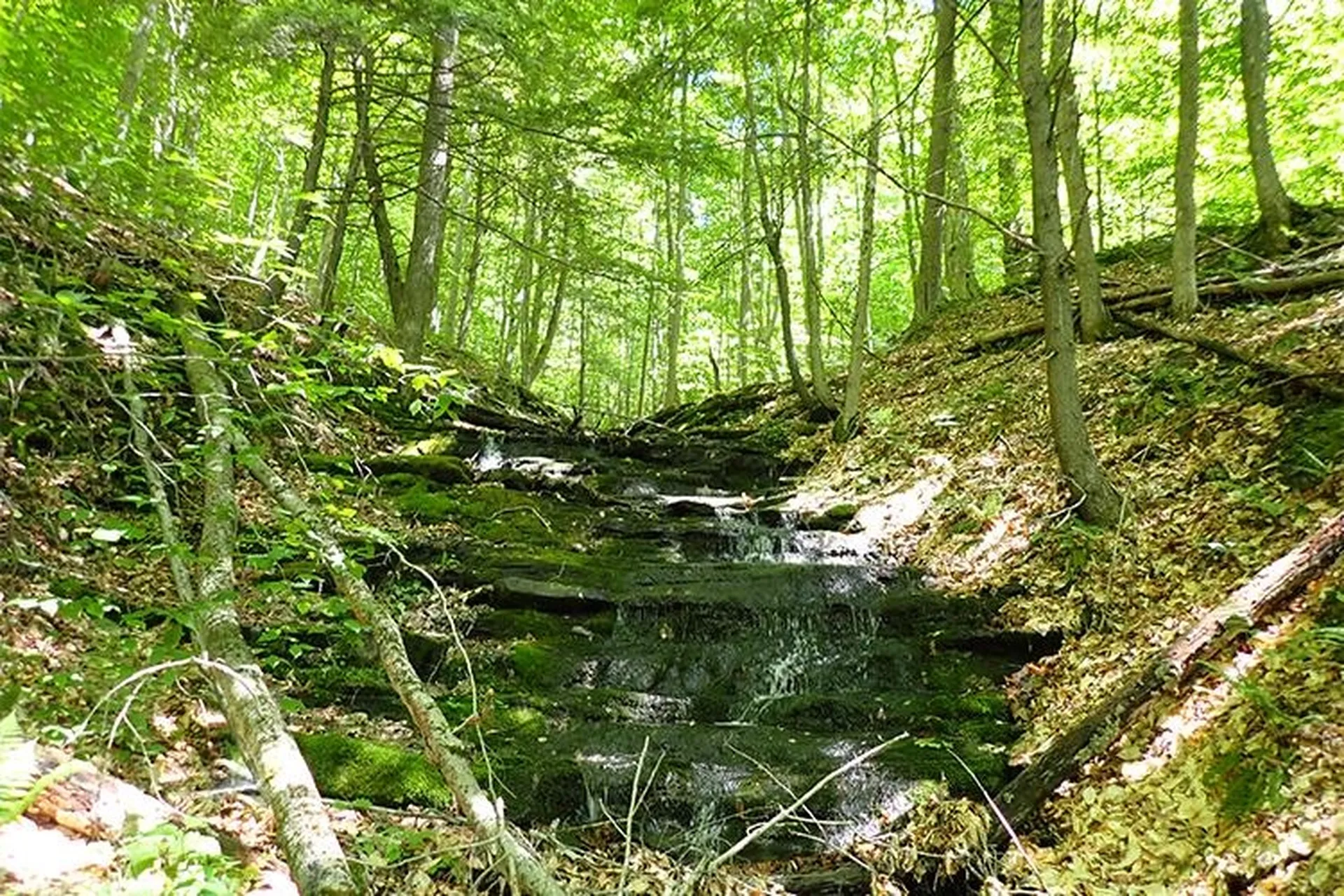 00 Bear Notch Road West Fairlee VT 05083