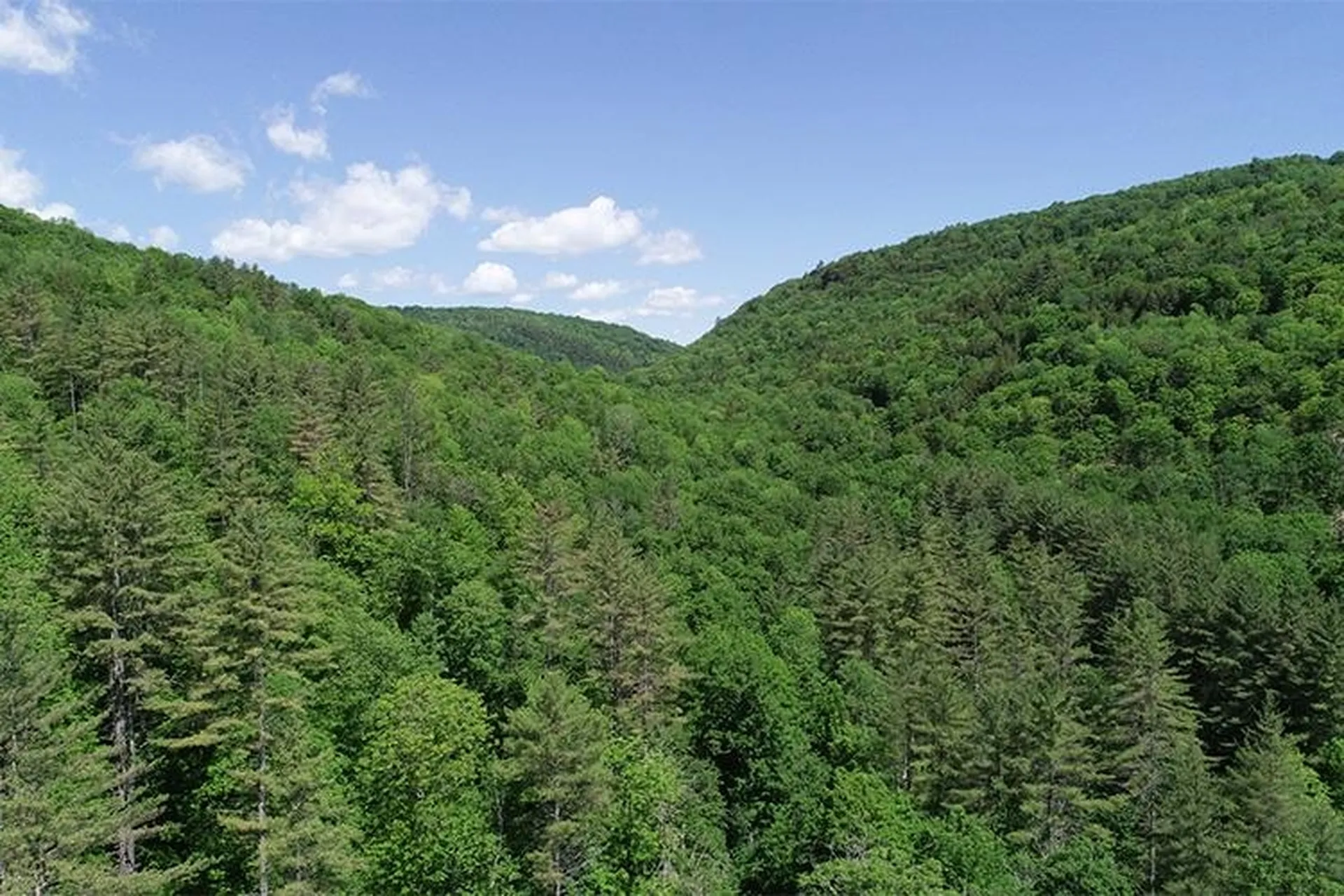 00 Bear Notch Road West Fairlee VT 05083