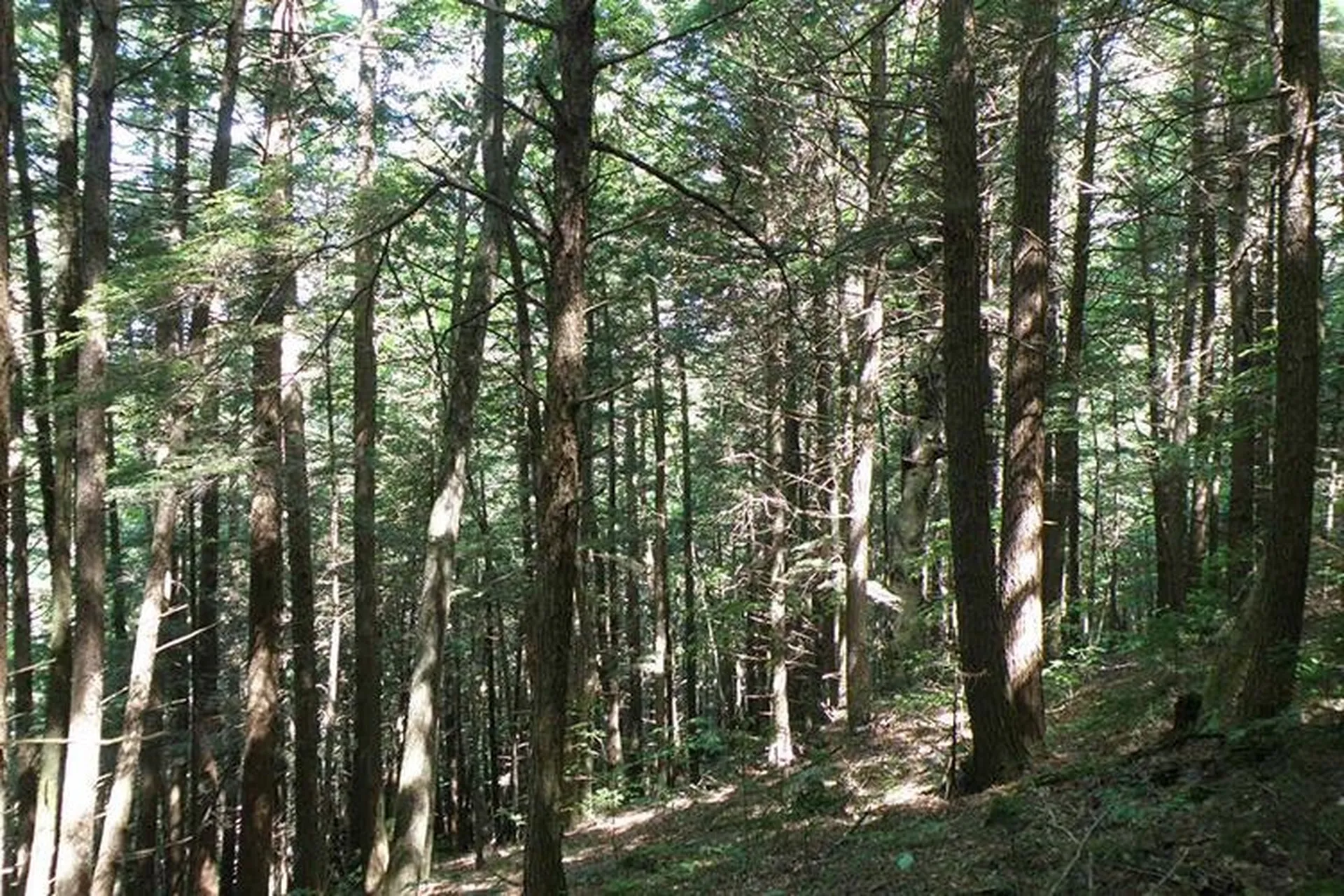 00 Bear Notch Road West Fairlee VT 05083