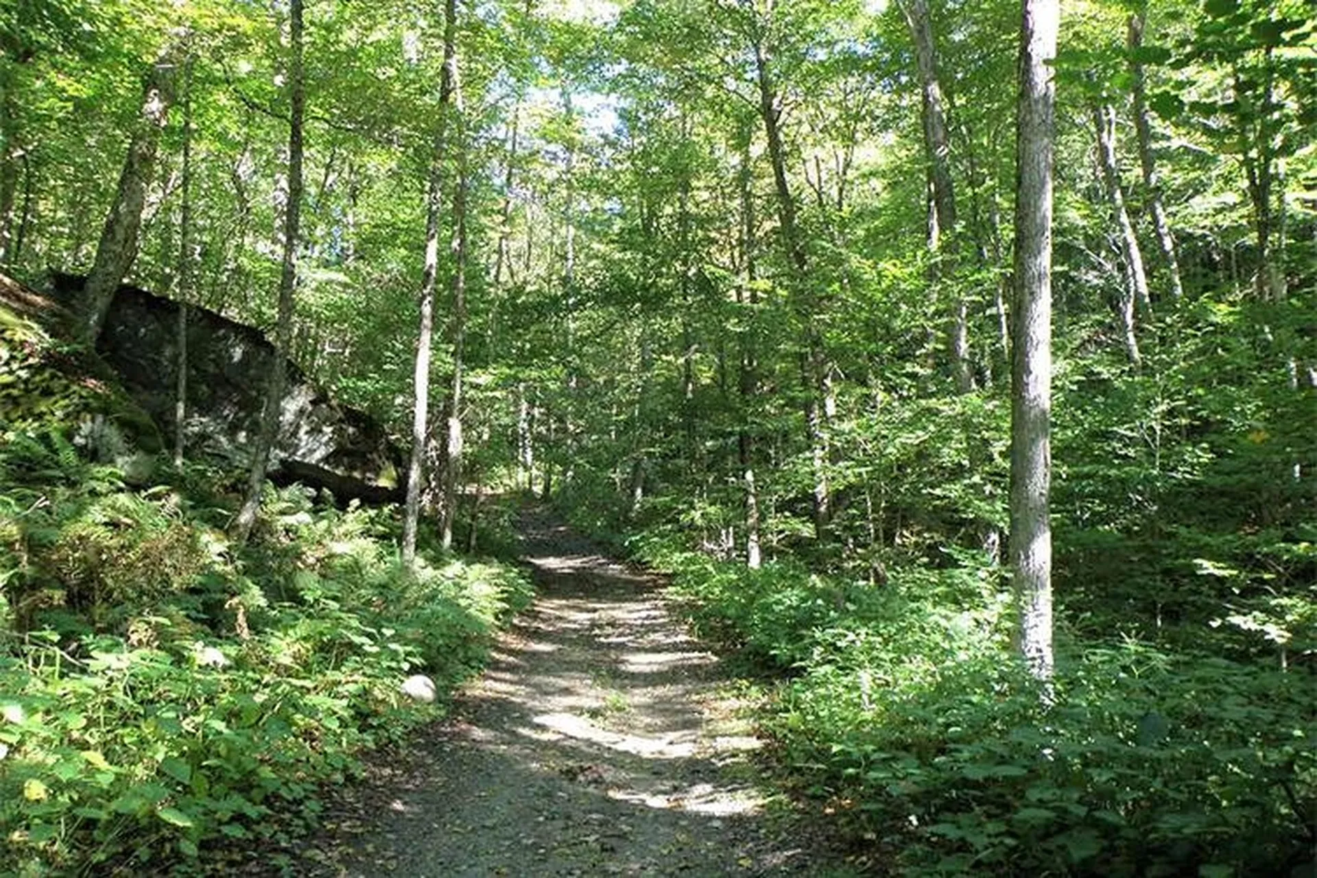 00 Bear Notch Road West Fairlee VT 05083