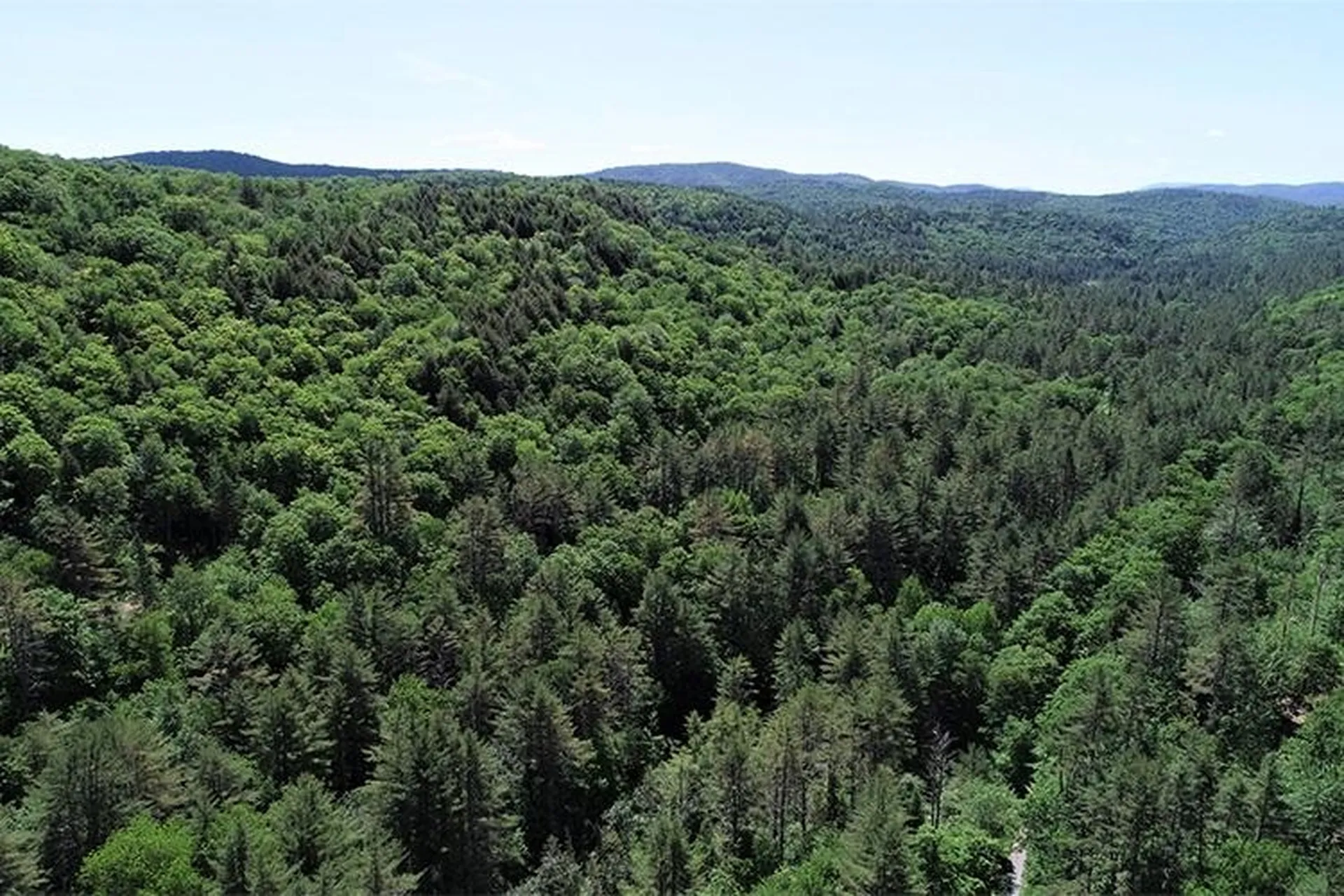 00 Bear Notch Road West Fairlee VT 05083