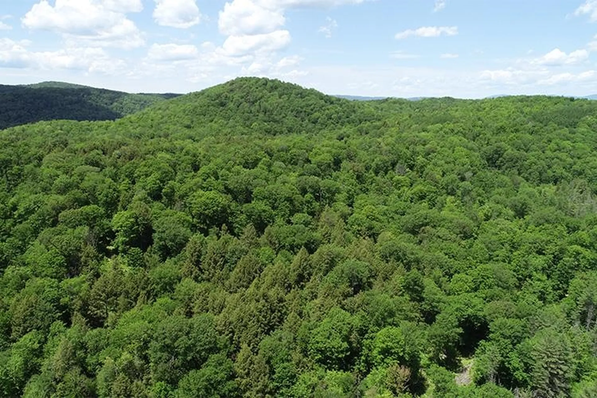 00 Bear Notch Road West Fairlee VT 05083
