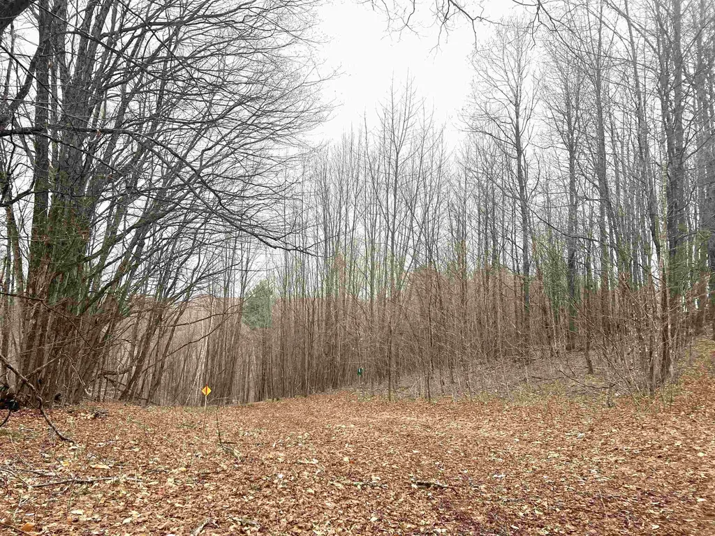 142 Colby Road Topsham VT 05076