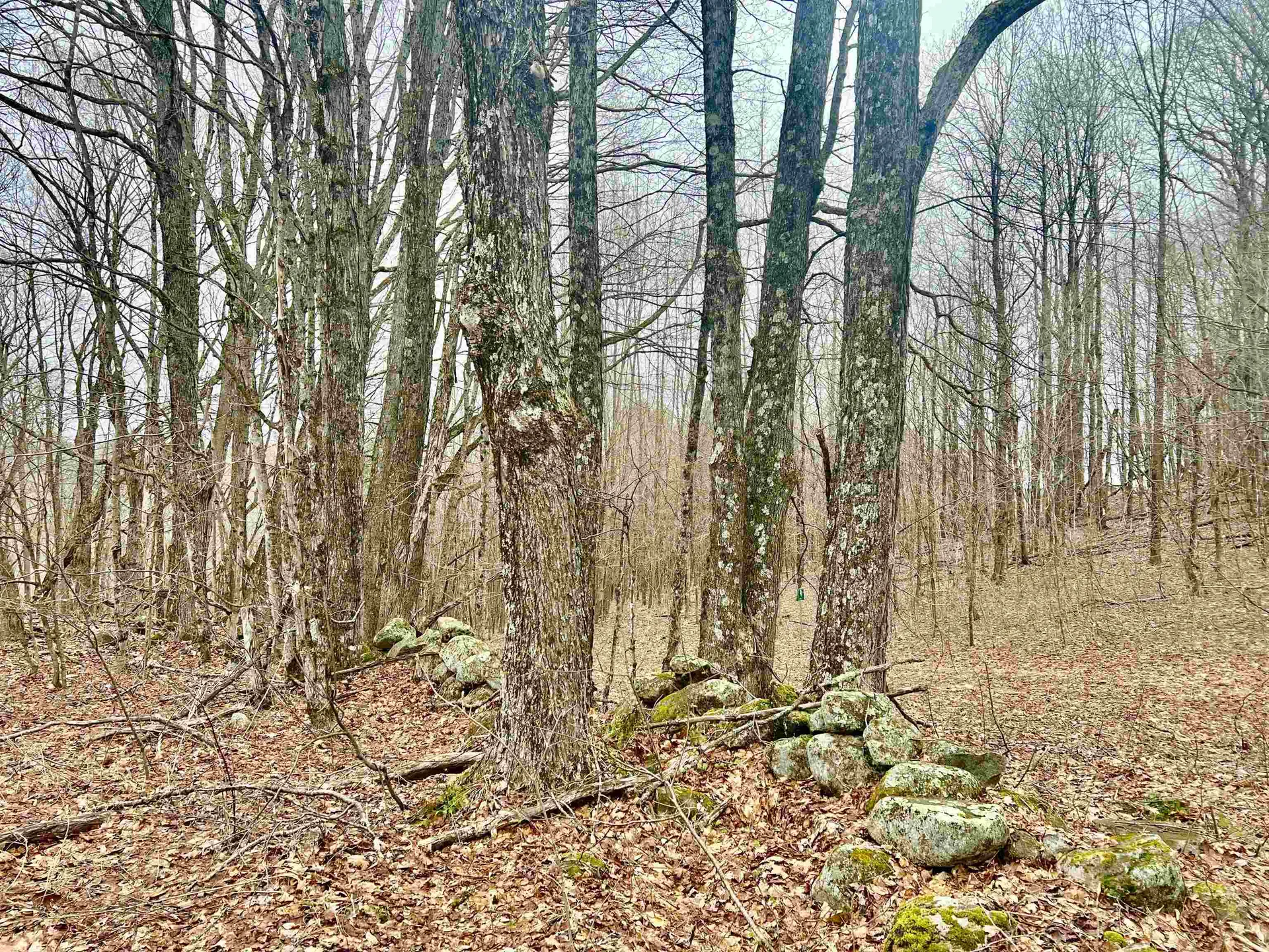142 Colby Road Topsham VT 05076