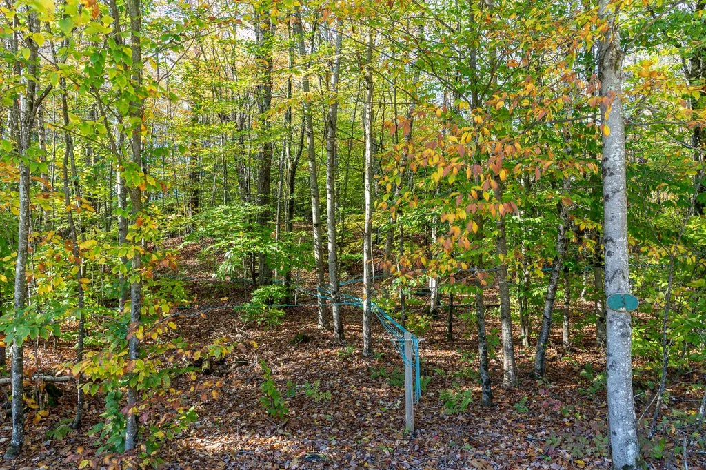 45 Emmaus Road Arlington VT 05250