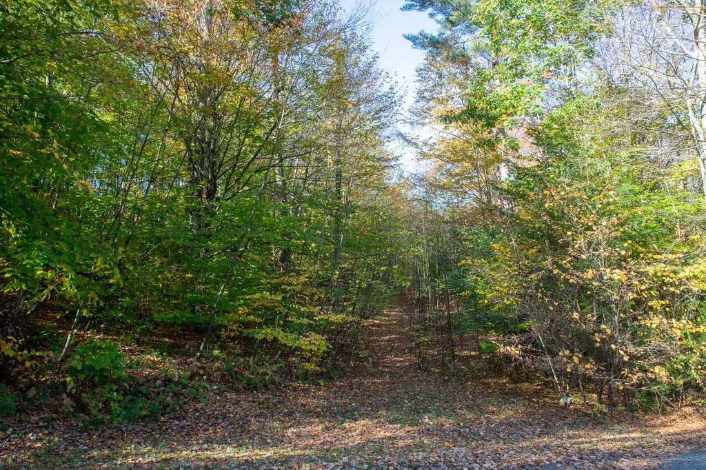 45 Emmaus Road Arlington VT 05250