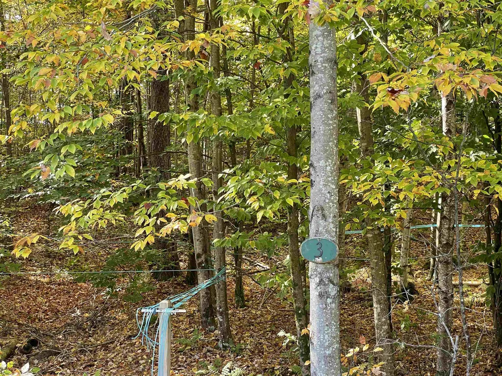 45 Emmaus Road Arlington VT 05250