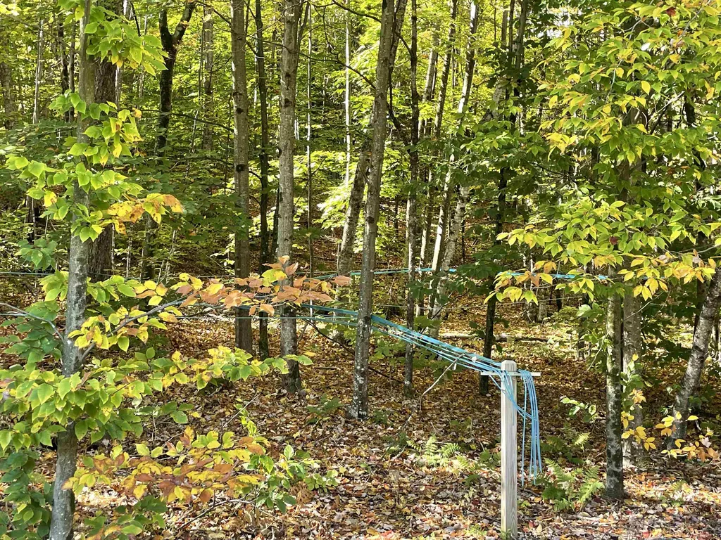 45 Emmaus Road Arlington VT 05250