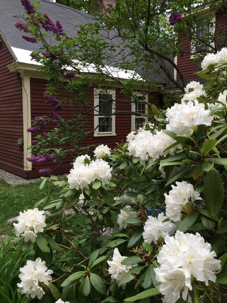 338 Fernwood Farms Road Canaan NH 03741