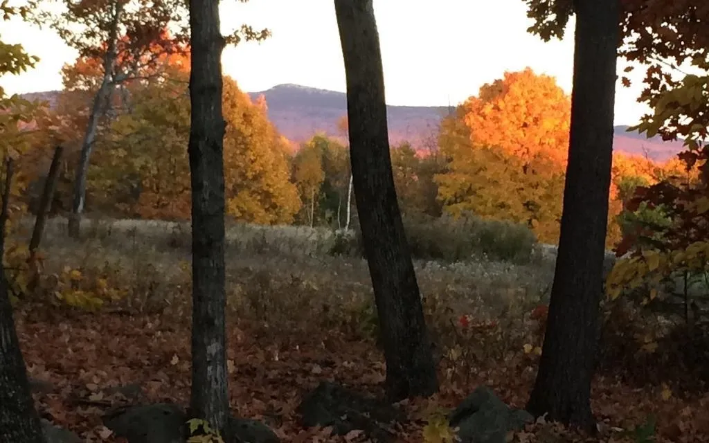 338 Fernwood Farms Road Canaan NH 03741