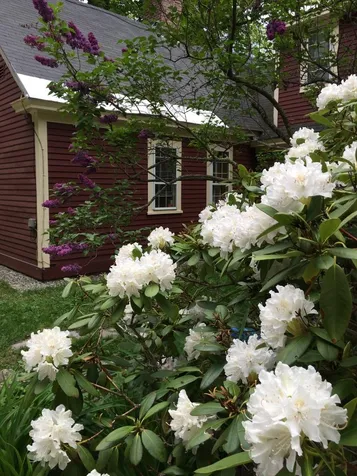 338 Fernwood Farms Road Canaan NH 03741