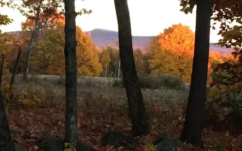 338 Fernwood Farms Road Canaan NH 03741