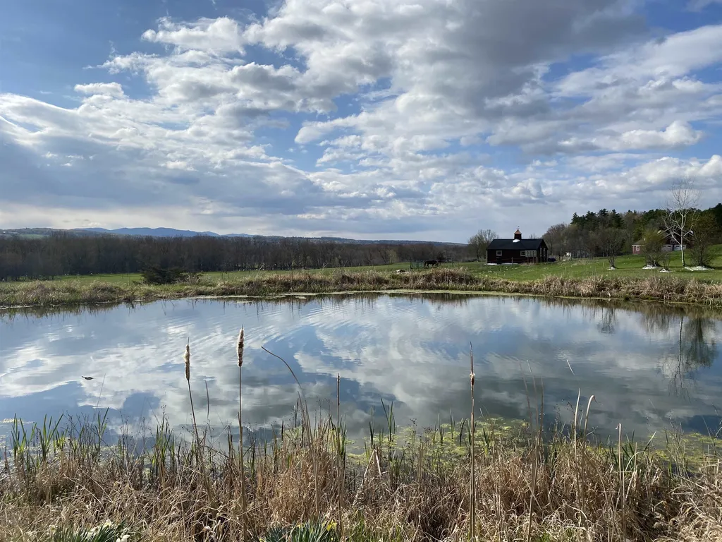 4310 Snake Mountain Road Weybridge VT 05753