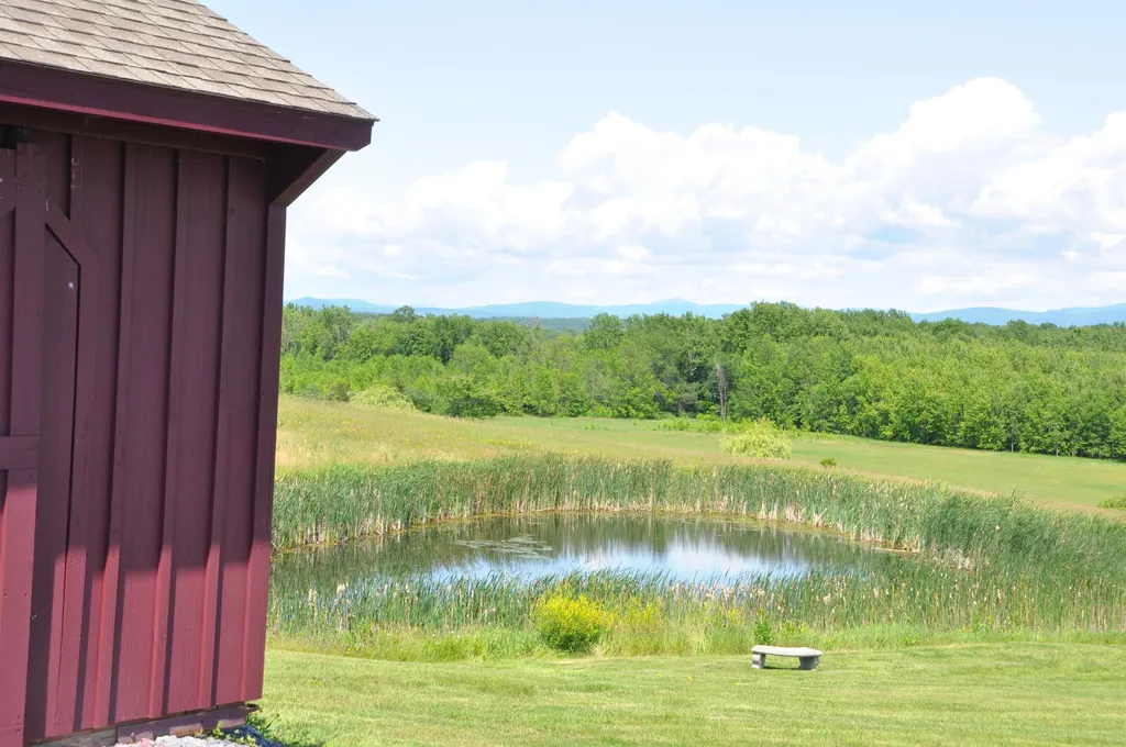 4310 Snake Mountain Road Weybridge VT 05753