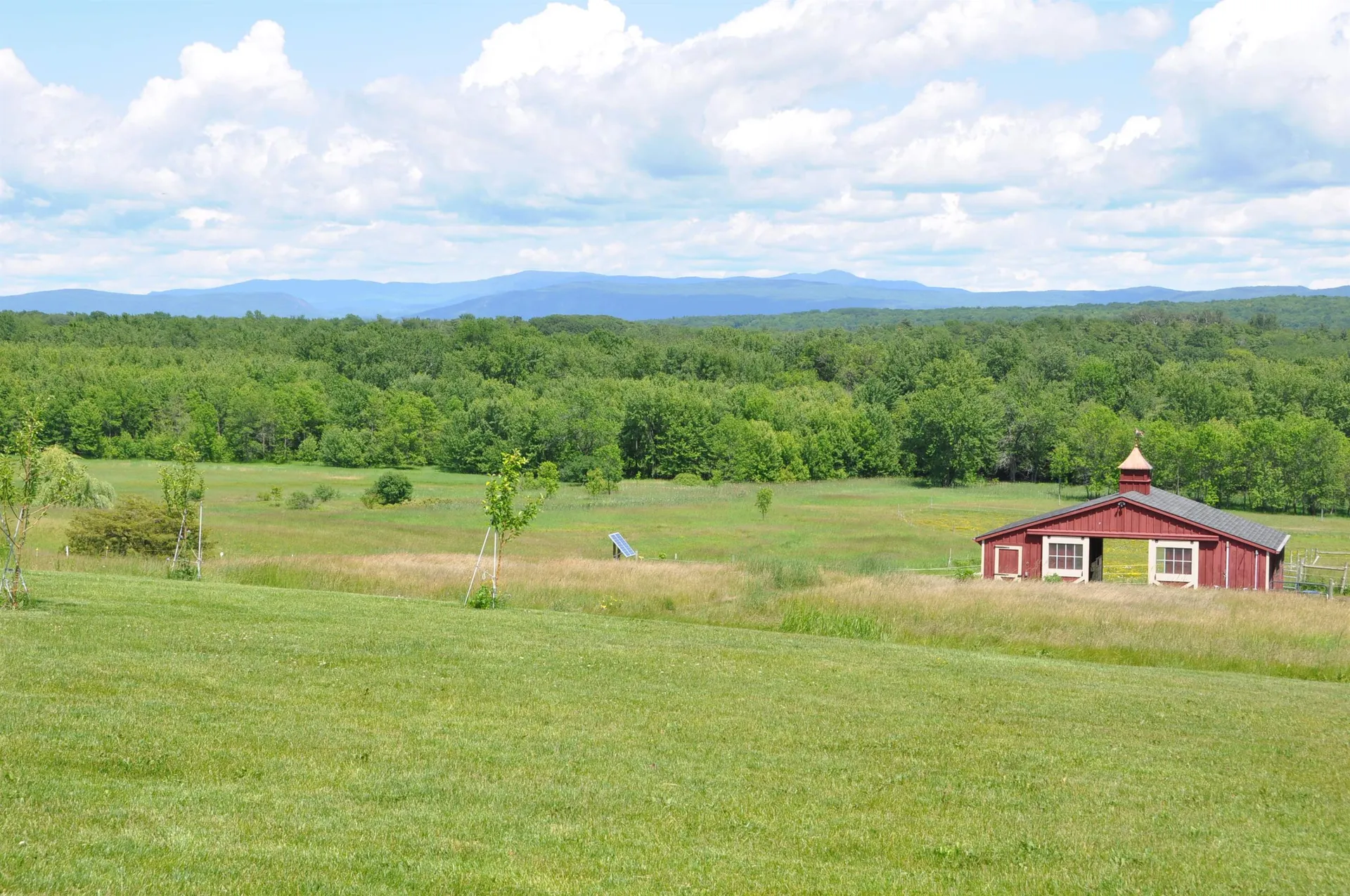 4310 Snake Mountain Road Weybridge VT 05753