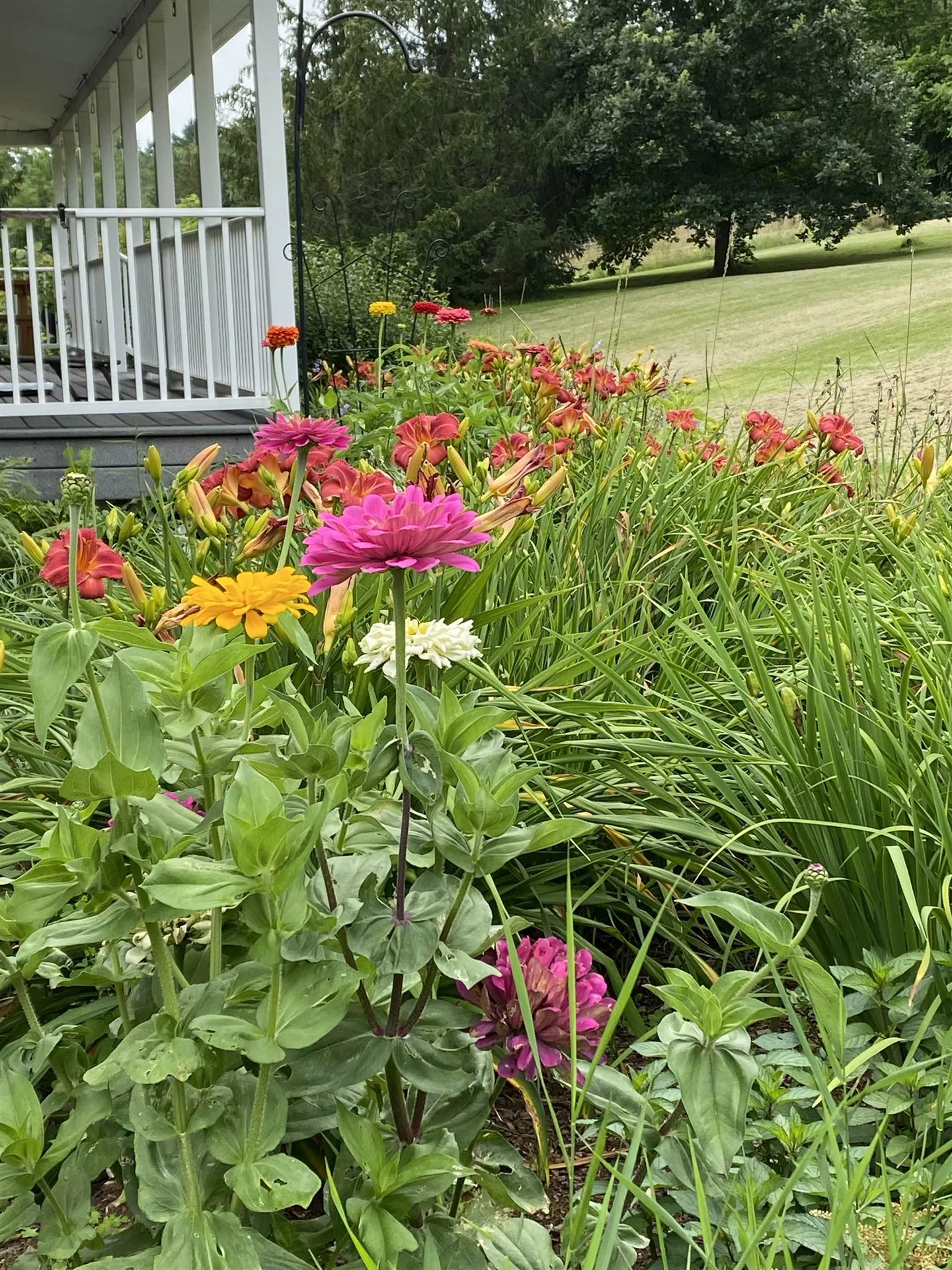4310 Snake Mountain Road Weybridge VT 05753