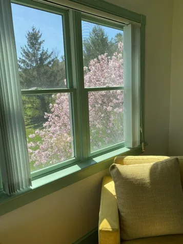 4310 Snake Mountain Road Weybridge VT 05753