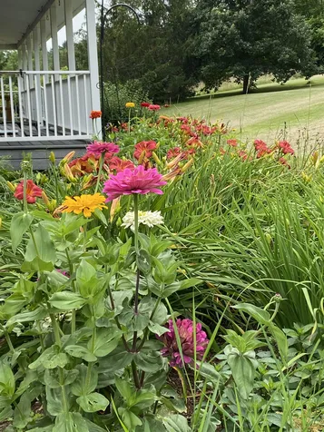 4310 Snake Mountain Road Weybridge VT 05753